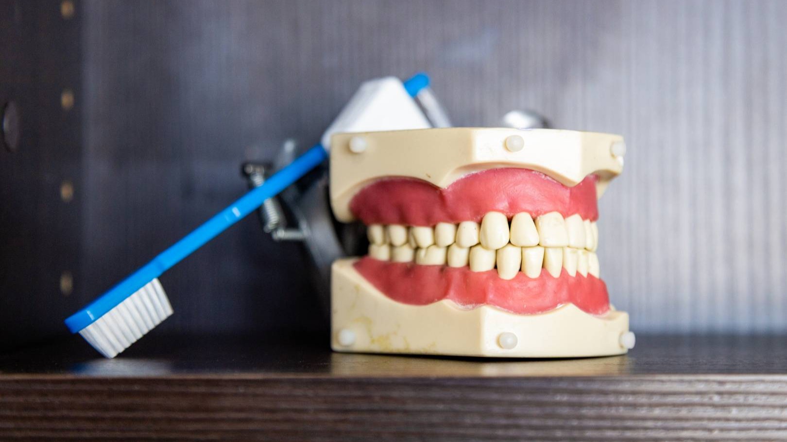 Top 5 Dental Care Tips for a Healthy, Beautiful Smile